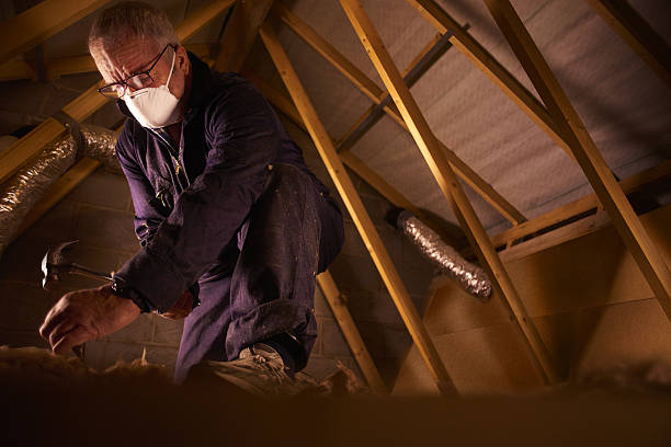 Best Insulation Maintenance and Repair in Wood Ridge, NJ